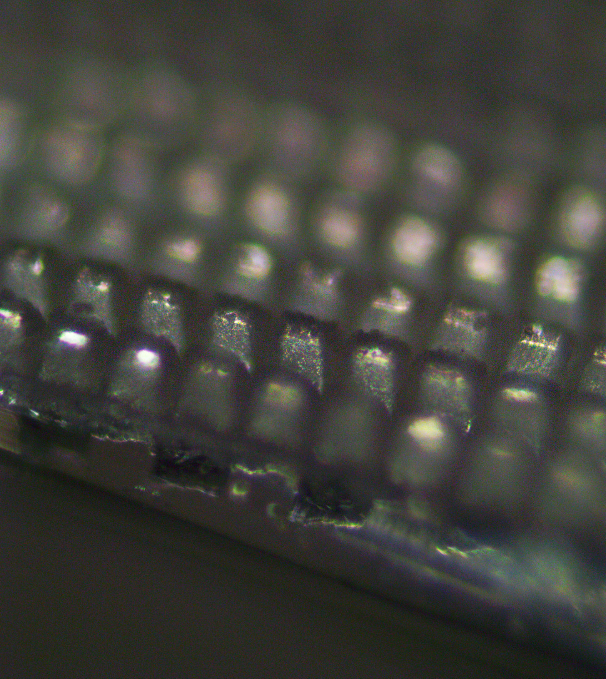 Microscope view of the microstructure
