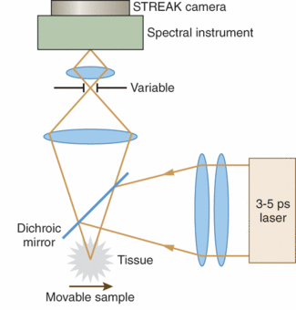 FIGURE 2. An experimental setup provides fluorescence-spectrum measurement combined with a spatial filter for confocal microscopy selectivity. Click here to enlarge image